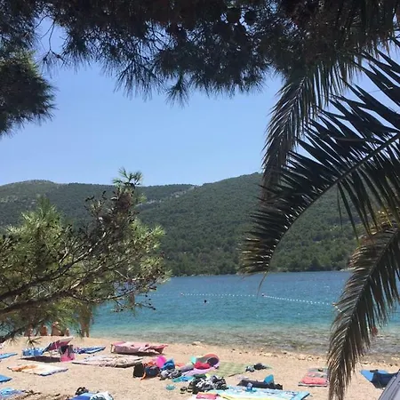 Sea La Vie
